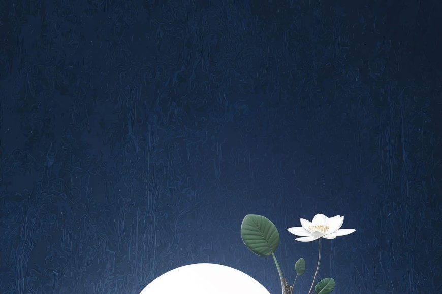 Có Pháp Môn Nhỏ Nào Giúp Nuôi Dưỡng Chánh Niệm và Trí Tuệ !!!