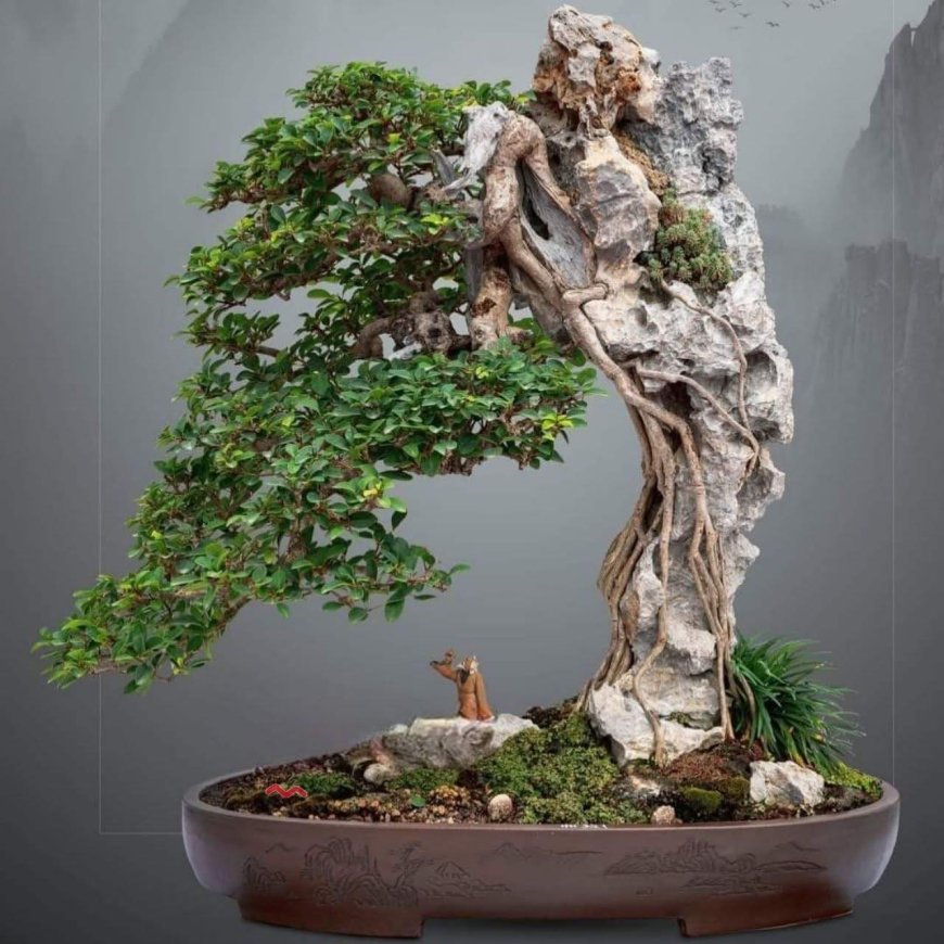 Giải Thích Một Vài Điểm Trong Sách Phật Giáo Và Thiền !!!