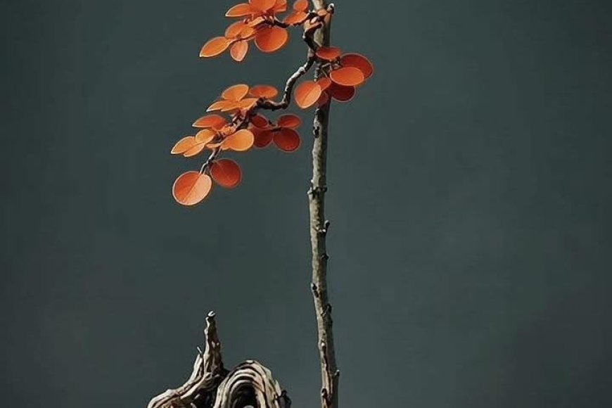 Việc Thờ Cúng Và Lòng Thành !!!