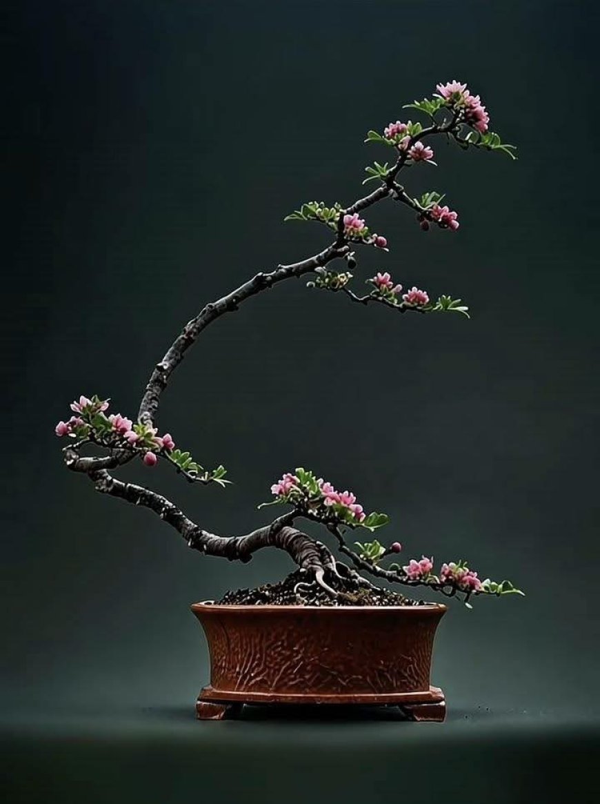 Ưng Vô Sở Trụ !!!