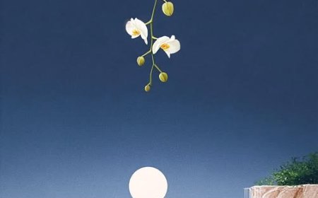 Phật Pháp Là Thường Hay Vô Thường !!!