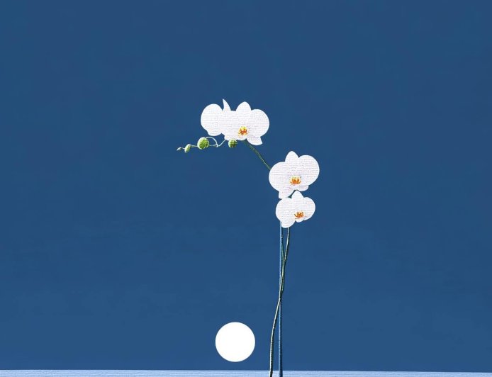 Thiền và Các Chướng Ngại !!!