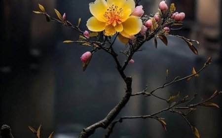 Thư Của Bằng Hữu Huyền Đức !!!