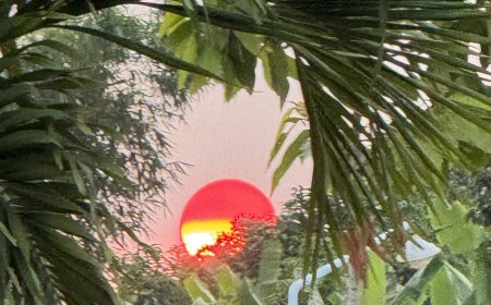 Chuyện Vui Trần Thế (03) - Văn Thù Mất Túi Xách !!!