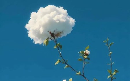 Học Mười Biết Một !!!