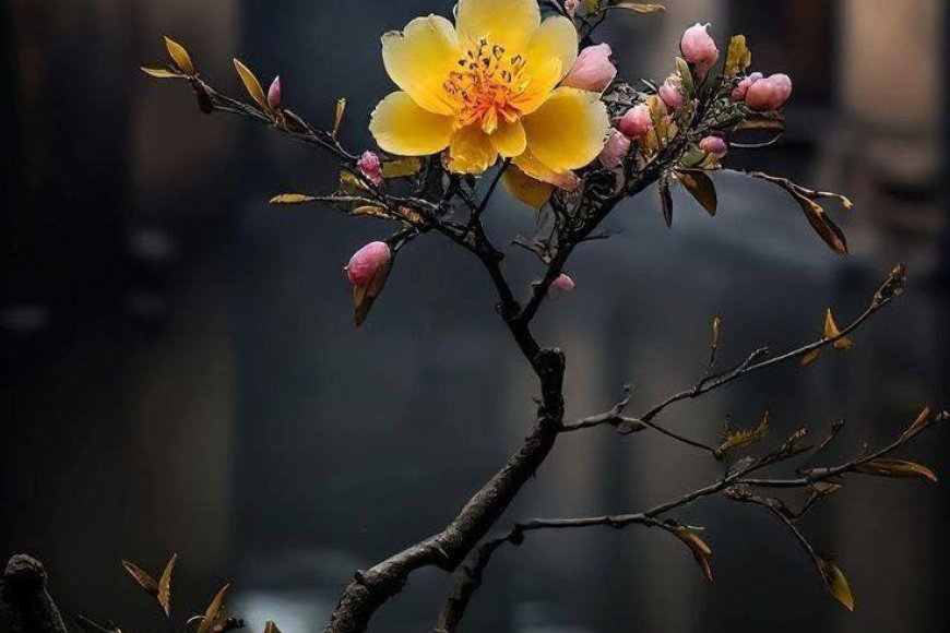 Thư Của Bằng Hữu Huyền Đức !!!
