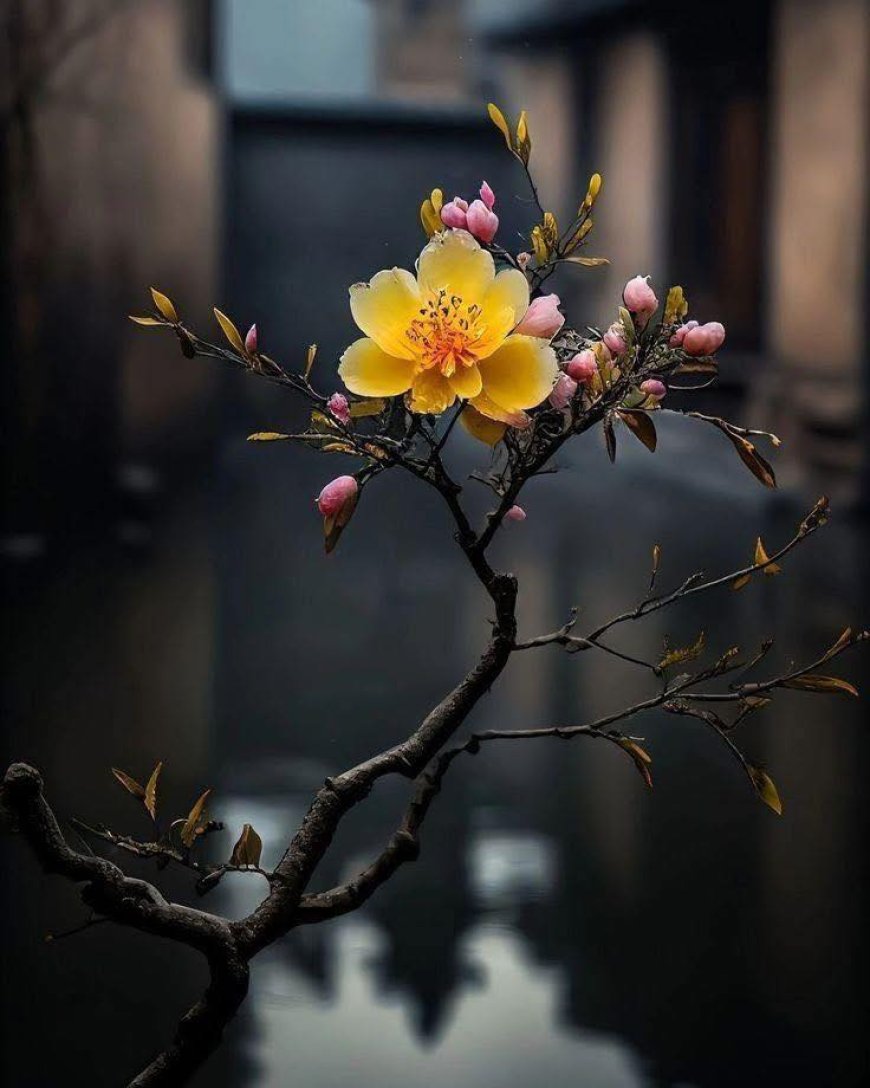 Thư Của Bằng Hữu Huyền Đức !!!