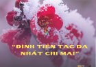 Đình Tiền Tạc Dạ Nhất Chi Mai