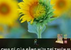 Chia Sẻ Của Bằng Hữu Trí Thiện !!!