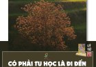 Có Phải Tu Học Là Đi Đến Chấm Dứt Tất Cả !!!