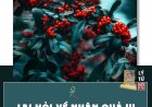 Lại Hỏi Về Nhân Quả !!!