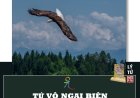 Tứ Vô Ngại Biện Của Phật Đạo !!!
