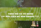 Thức Mê Và Vô Minh Có Mối Liên Hệ Nào Không ???