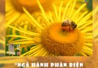 Ngã Hành Phản Biện Huynh Đệ Lý Gia !!!