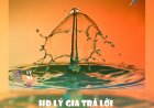 HĐ Lý Gia Trả Lời Phản Biện Bạn Đọc Ngã Hành (2) !!!