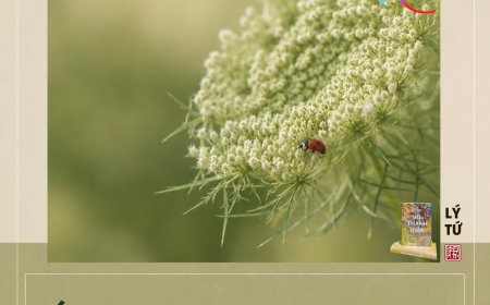 Ý Hay Thức Làm Chủ ???