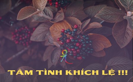 Tâm Tình Khích Lệ !!!