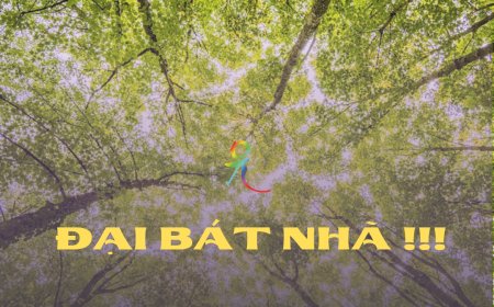 Đại Bát Nhã !!!