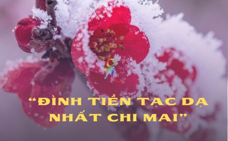 Đình Tiền Tạc Dạ Nhất Chi Mai
