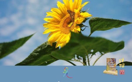 Phản Hồi Của Bằng Hữu Trí Thiện !!!