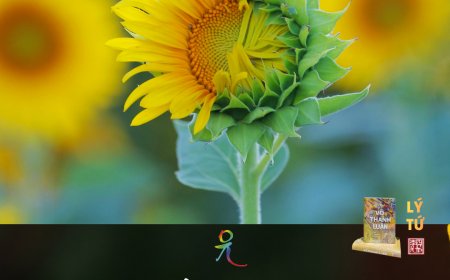 Chia Sẻ Của Bằng Hữu Trí Thiện !!!