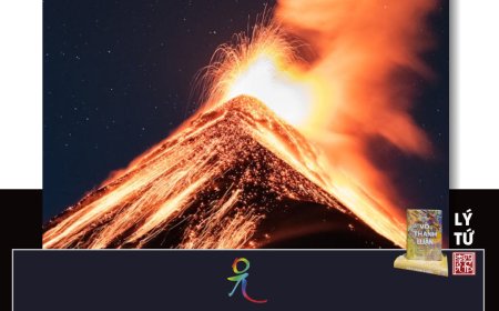 Phật Giáo Và Trí Tuệ !!!