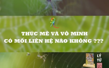 Thức Mê Và Vô Minh Có Mối Liên Hệ Nào Không ???