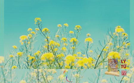 Bài Học Lớn Cho Toàn Thể Huynh Đệ Lý Gia !!!