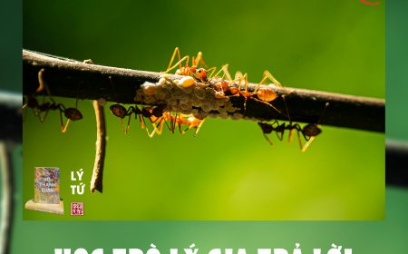 Học Trò Lý Gia Trả Lời Thư Bạn Đọc Ngã Hành !!!
