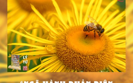 Ngã Hành Phản Biện Huynh Đệ Lý Gia !!!