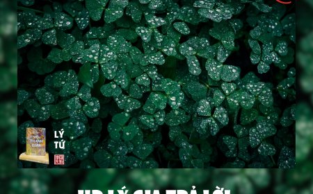 HĐ Lý Gia Trả Lời Phản Biện Bạn Đọc Ngã Hành (1) !!!