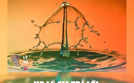 HĐ Lý Gia Trả Lời Phản Biện Bạn Đọc Ngã Hành (2) !!!