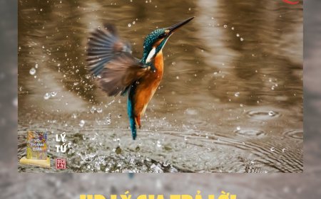 HĐ Lý Gia Trả Lời Phản Biện Bạn Đọc Ngã Hành (3) !!!
