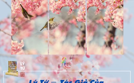 Lý Tứ − Tác Giả Của Những Cuốn Sách “Khởi An Vui”