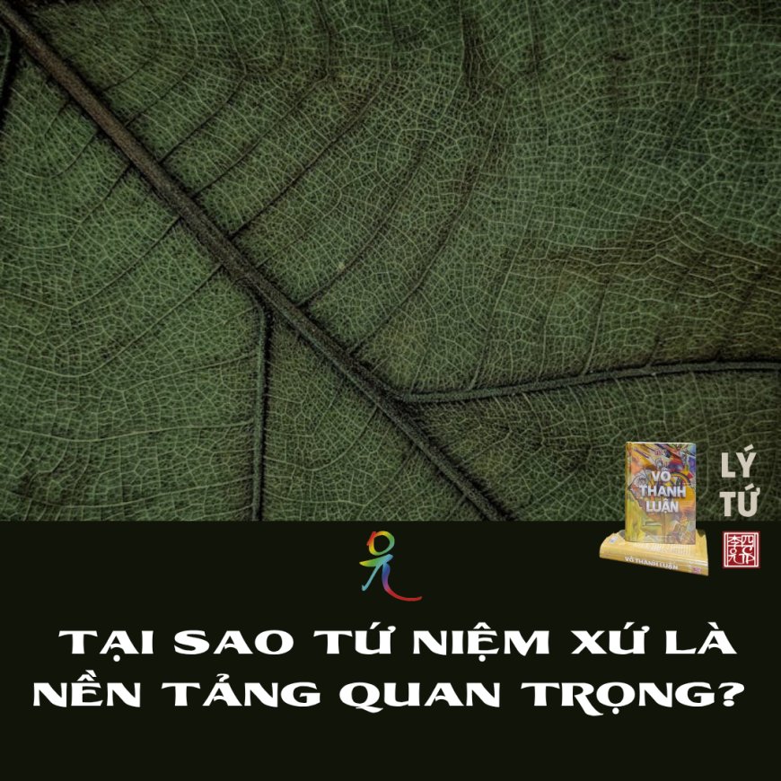 Tại Sao Tứ Niệm Xứ Là Nền Tảng Quan Trọng?