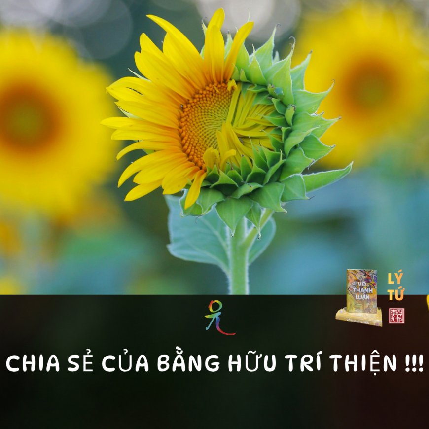 Chia Sẻ Của Bằng Hữu Trí Thiện !!!