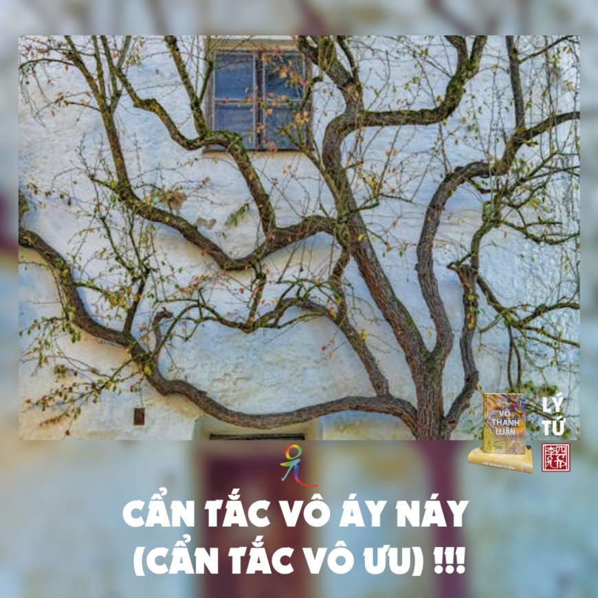 Cẩn Tắc Vô Áy Ná (Cẩn Tắc Vô Ưu) !!!