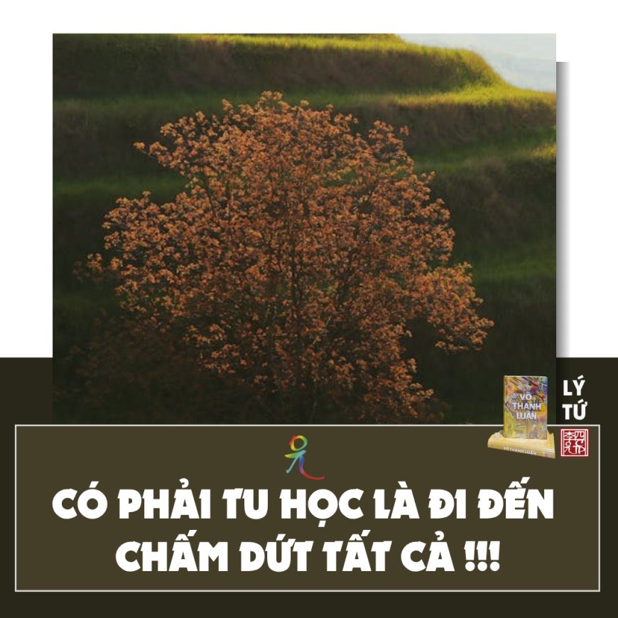 Có Phải Tu Học Là Đi Đến Chấm Dứt Tất Cả !!!