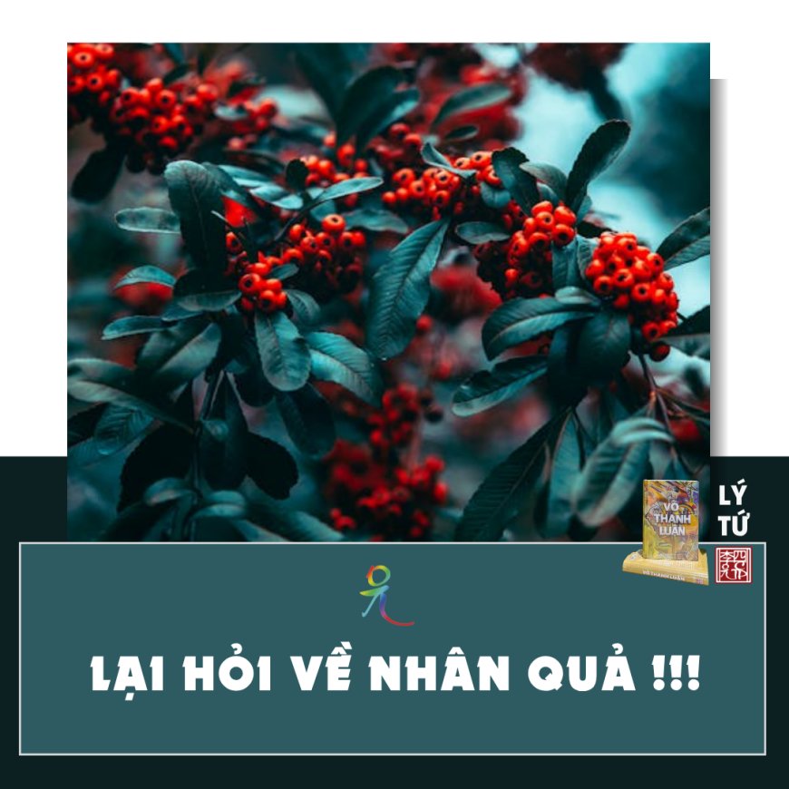 Lại Hỏi Về Nhân Quả !!!