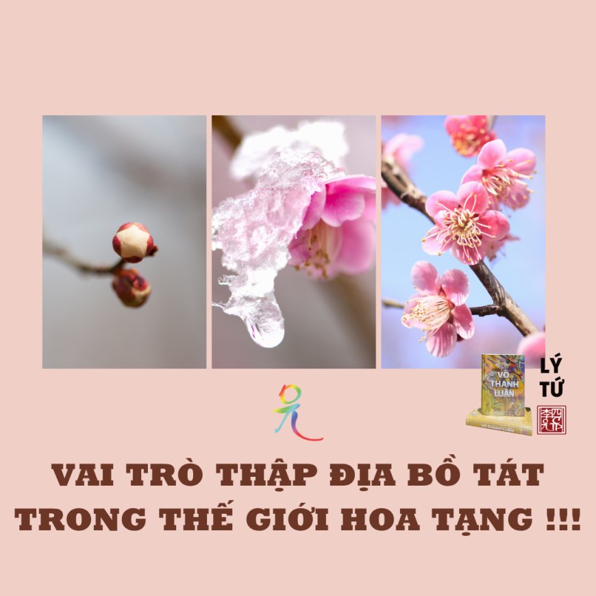 Vai Trò Thập Địa Bồ Tát Trong Thế Giới Hoa Tạng!!!