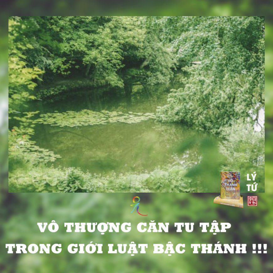 Vô Thượng Căn Tu Tập Trong Giới Luật Bậc Thánh !!!