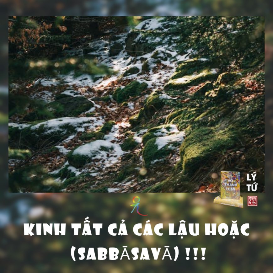 Kinh Tất Cả Các Lậu Hoặc (Sabbāsavā) !!!