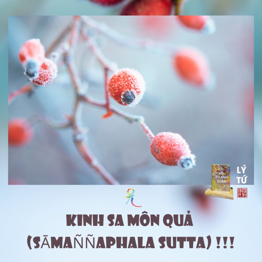Kinh Sa Môn Quả (Sāmaññaphala Sutta) !!!