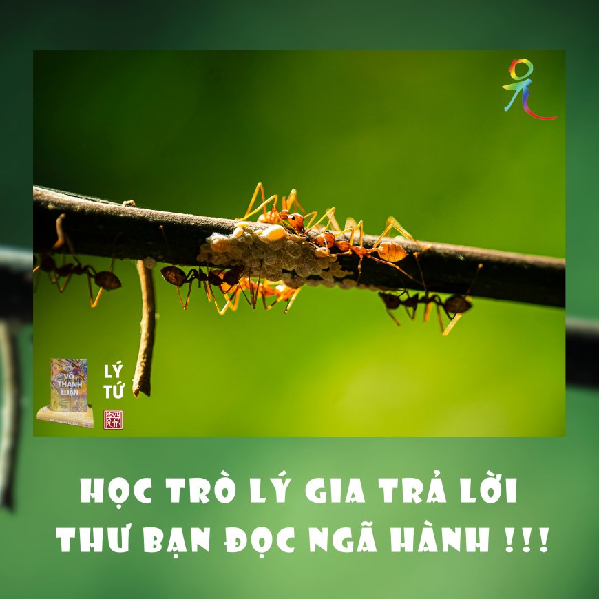 Học Trò Lý Gia Trả Lời Thư Bạn Đọc Ngã Hành !!!
