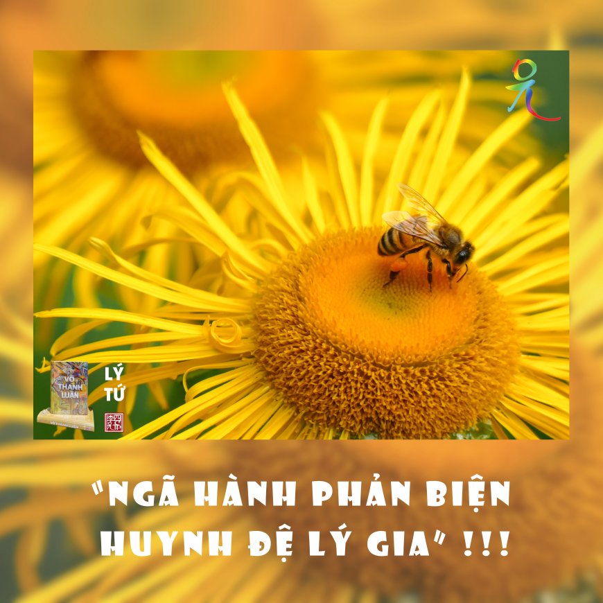 Ngã Hành Phản Biện Huynh Đệ Lý Gia !!!