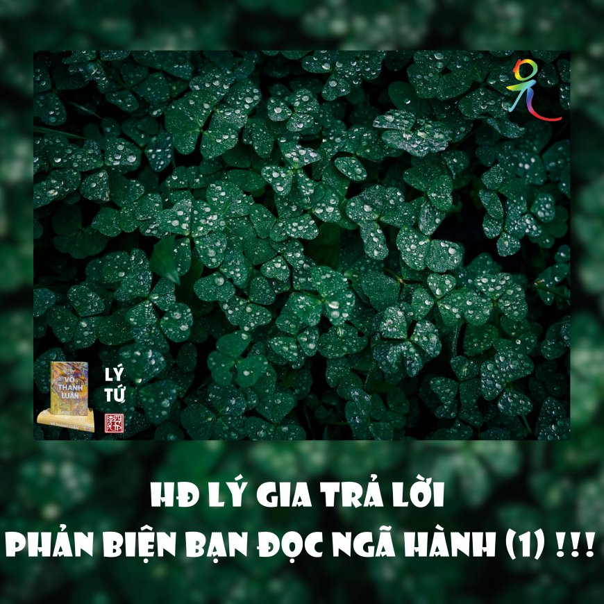 HĐ Lý Gia Trả Lời Phản Biện Bạn Đọc Ngã Hành (1) !!!
