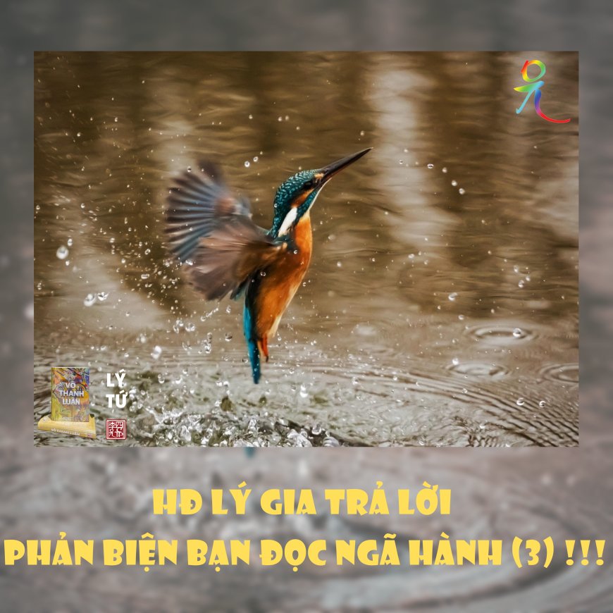 HĐ Lý Gia Trả Lời Phản Biện Bạn Đọc Ngã Hành (3) !!!