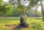 Lý Diệu Tâm Trả Lời Hành Giả Pháp Quang !!!