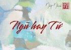 Ngũ Hay Tứ