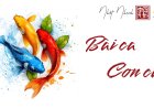 Bài Ca Con Cá